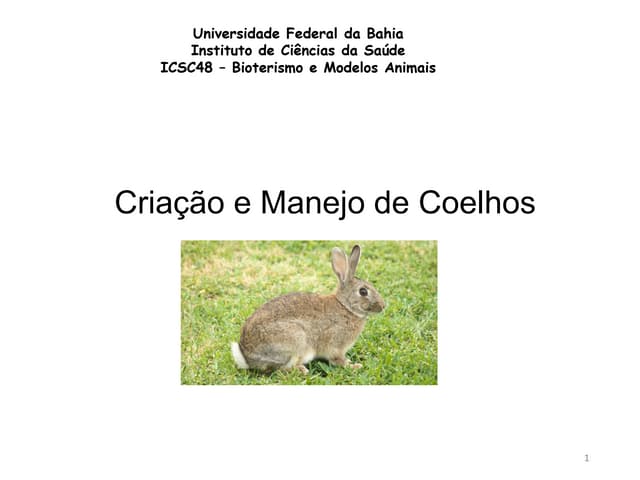 ICSC48 - Criação e manejo de coelhos