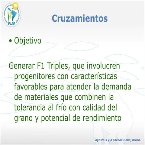 Cruzamientos 1996 a 2010