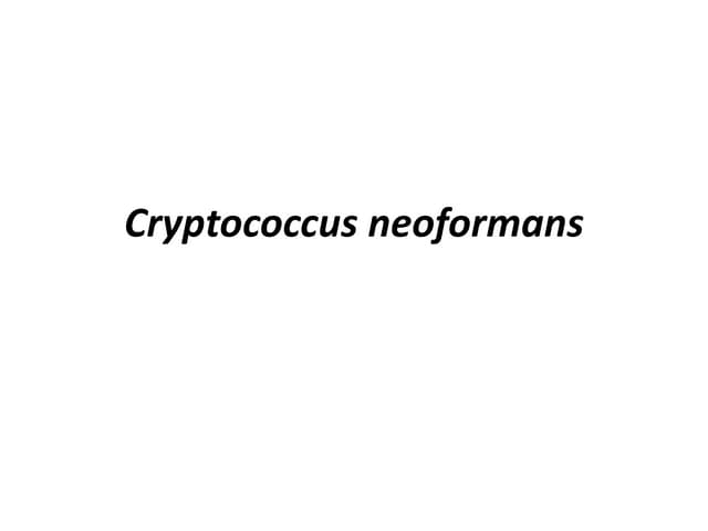 Cryptococcus