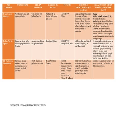CUADRO SISTEMA NERVIOSO pares craneales .docx