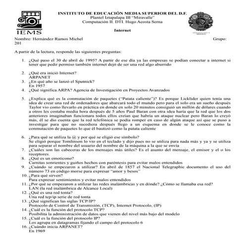 Cuestionario internet Hernandez Michel