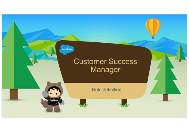 Customer success manager role