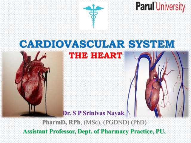 CARDIO VASCULAR SYSTEM THE HEART