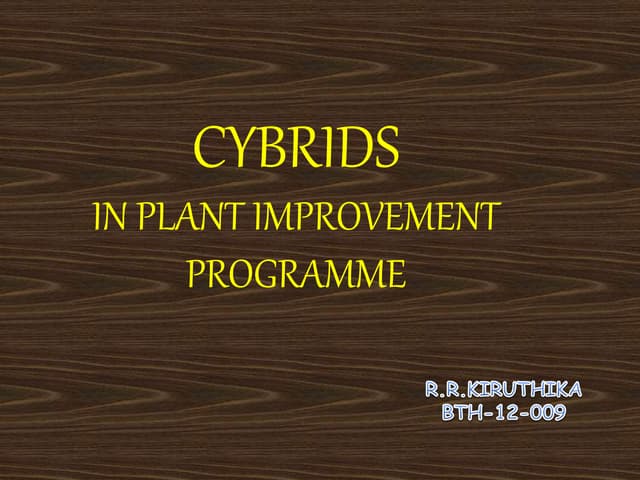 Cybrids