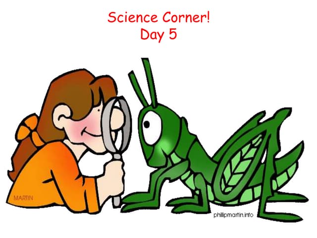 Science Corner, Day 5
