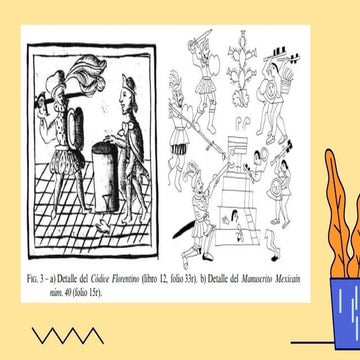 Declaración de Derechos y Principio de Igualdad.pptx