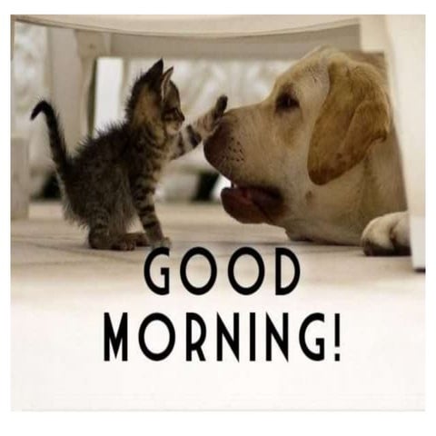 Deepbitemalocclusions 