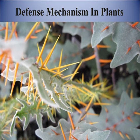Defense mechanism in plants
