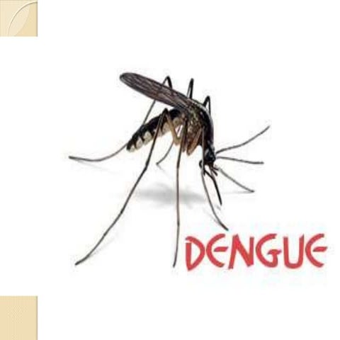 Dengue