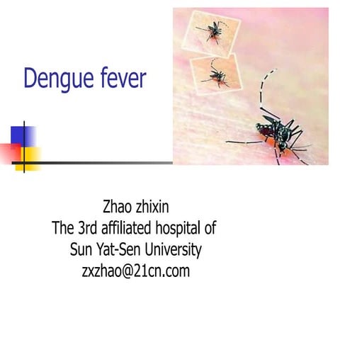 Dengue Fever(2),09