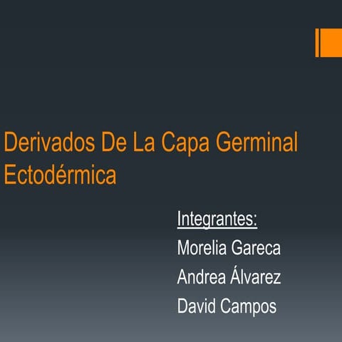 Derivados De La Capa Germinal Ectodermica