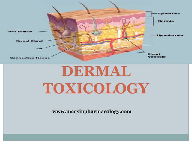 Dermal toxicology