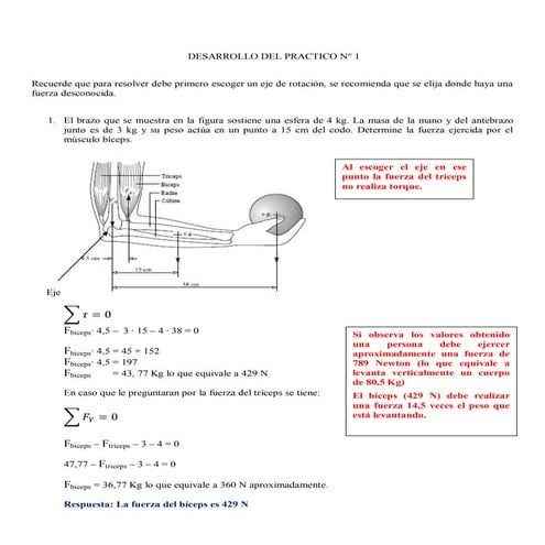 Desarrollo de practico n1