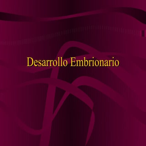 Desarrollo embrionario