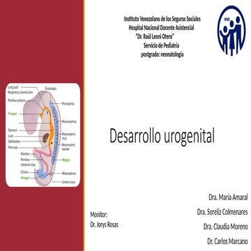 Desarrollo urogenital embrionario neonatología.pptx