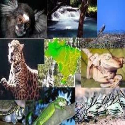 Desenvolvimento SustentáVel