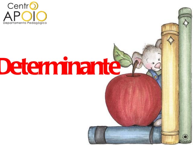 www.AulasDeMatematicaApoio.com  - Matemática - Determinante