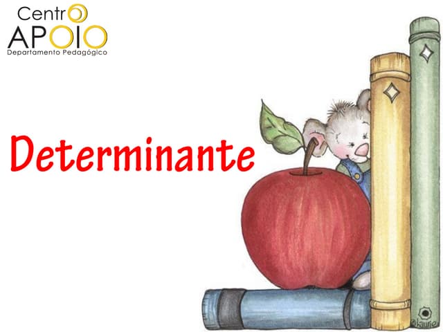 www.AulasEnsinoMedio.com.br - - Matemática -  Determinantes
