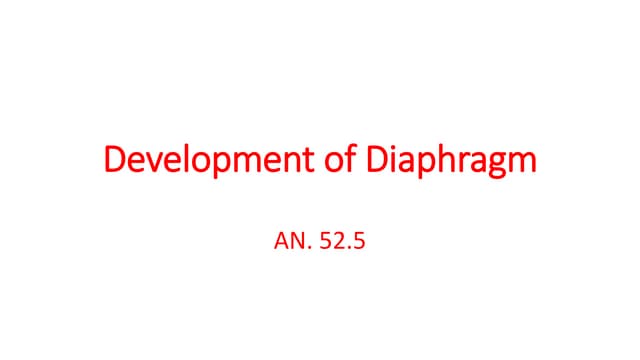 Development of Diaphragm.pptx