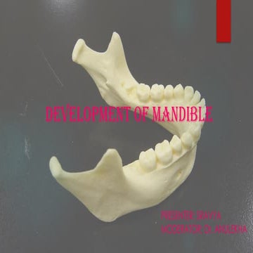 Development of Mandible AND ITS IMPORTANCE