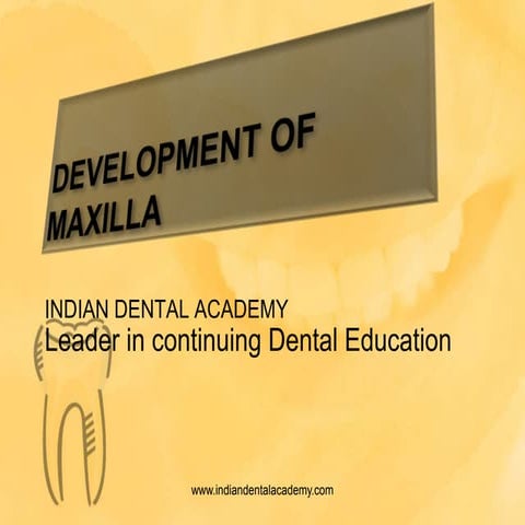 Development of maxilla and mandible/prosthodontic courses