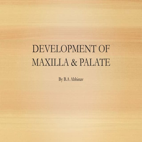 Development of maxilla and palate
