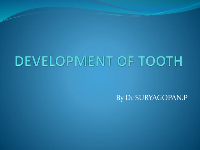 Development of tooth
