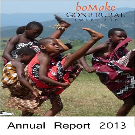 2013 Annual Report