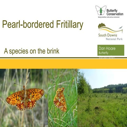 West Weald Landscape Project Conference: Pearl-bordered fritillaries