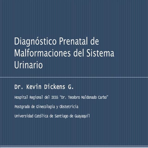 Diagnóstico Prenatal De Malformaciones Del Sistema Urinario