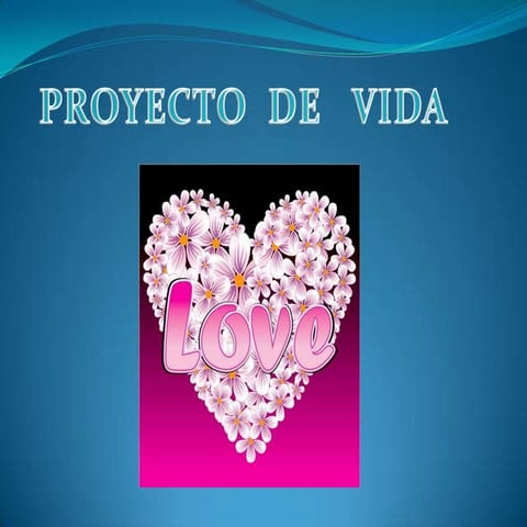 PROYECTO VIDA
