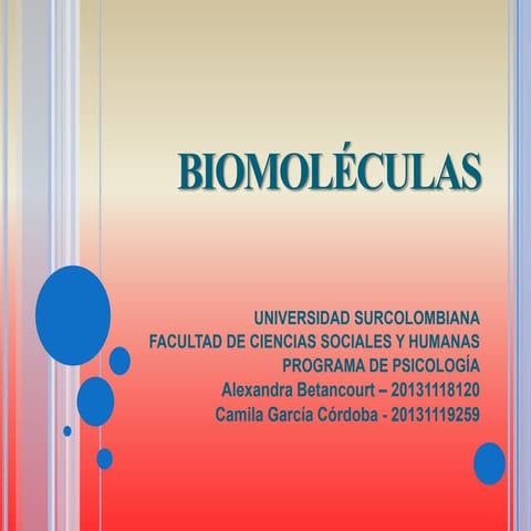 Diapositivas biomoléculas