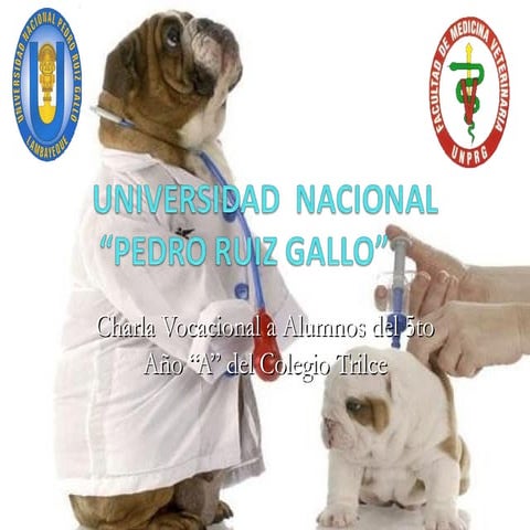 Charla Vocacional Medicina Veterinaria