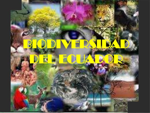 BIODIVRSIDAD  REGIONES DEL ECUADOR