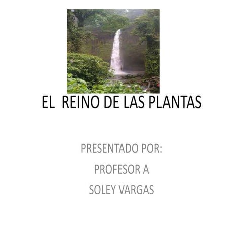 Ejemplo de diapositivas sobre las plantas