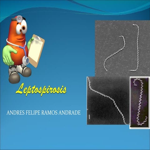 Diapositivas leptospirosis