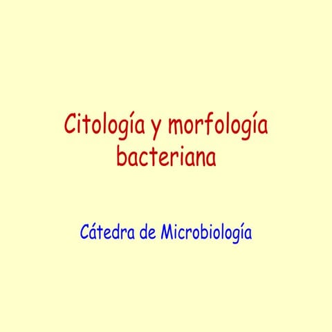 PRIMERA CLASE  CITOLOGIA MICROBIANA