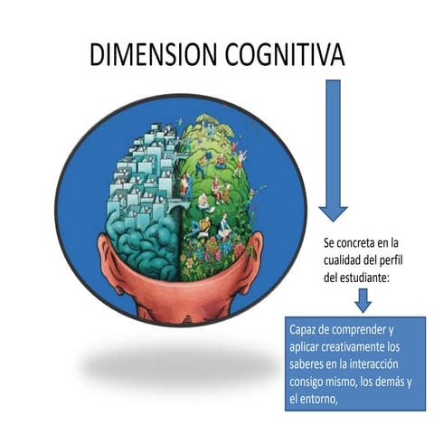 Dimension cognitiva