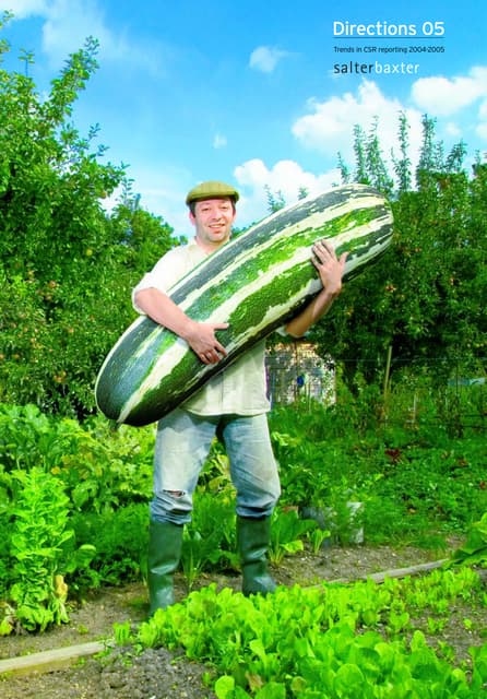 Directions 05 A review of best in show of this years crop of CSR reports