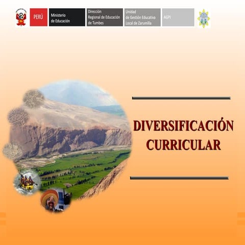 Diversificacion curricular