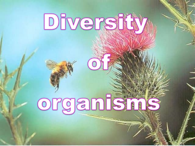 Diversity of organisms