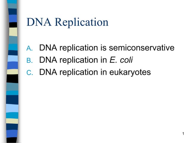 Dna replication