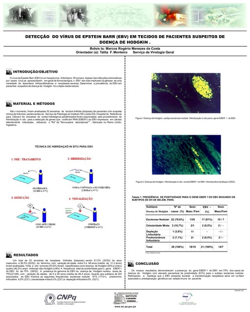 Doença de hodgkin hibridizaçao