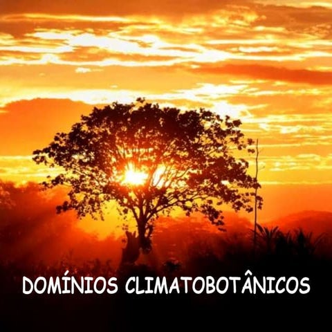 Dominios climatobotanicos ss
