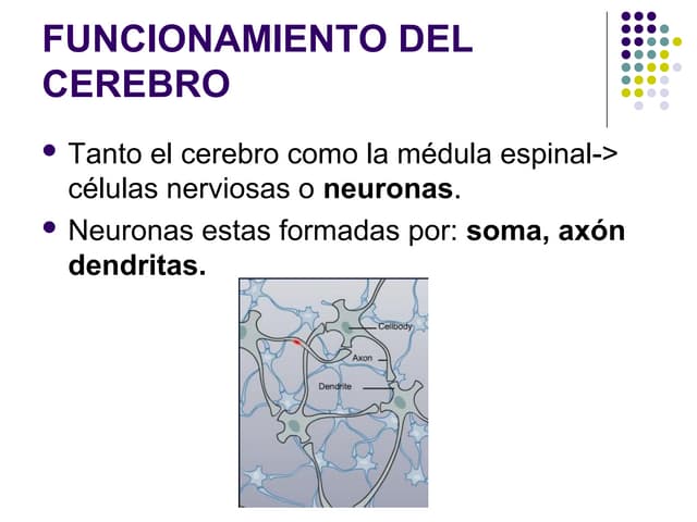 Drogas y neurotransmisores