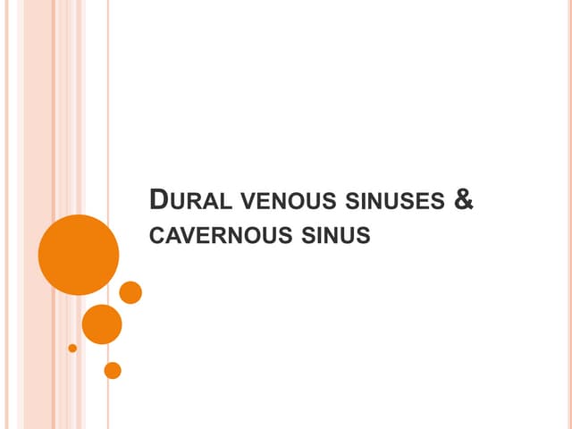 Dural venous sinuses 