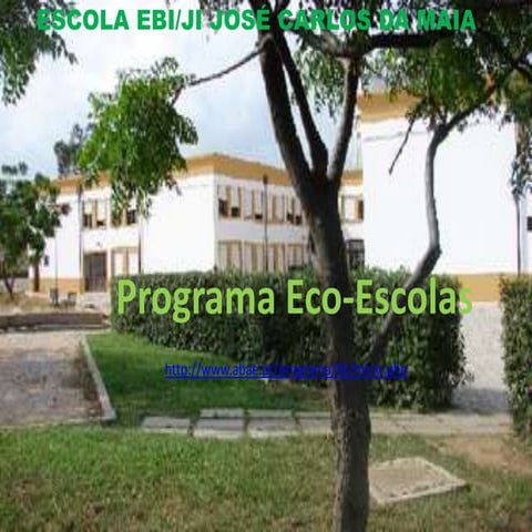 Eco escolas 11 12