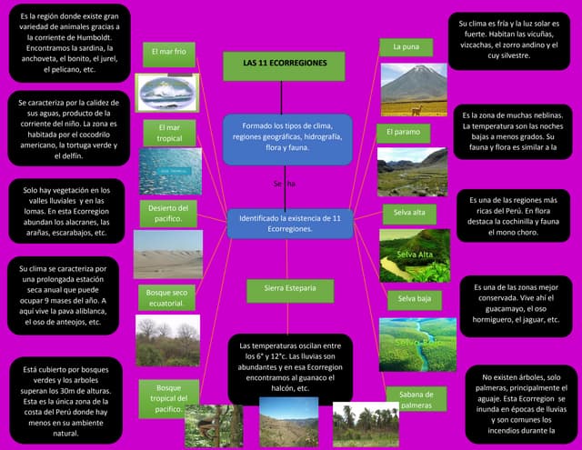  las 11 ecorregiones 