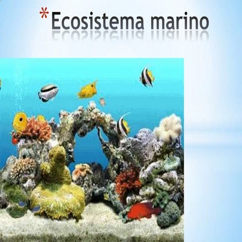 Ecosistema marino