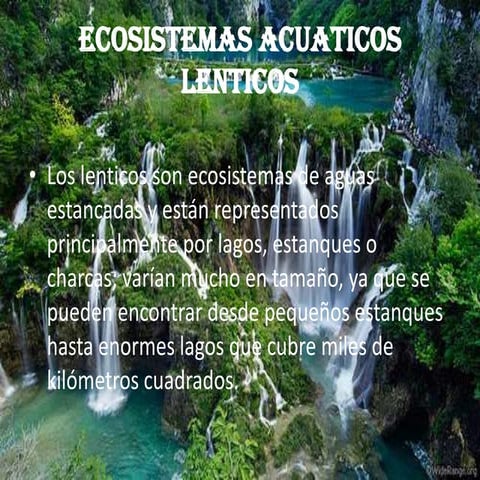 Ecosistemas lenticos